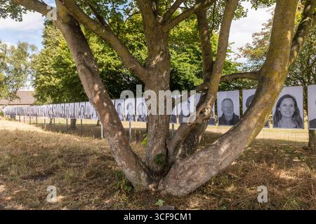 Eine Ausstellung von Community-Porträts lokaler Jugendlicher, die bis Ende August 2025 in Presteigne, Powys, Großbritannien, gezeigt werden. Es ist Teil des Inside Out-Projekts des französischen Künstlers JR, des größten globalen partizipativen Kunstprojekts überhaupt und des ersten in Wales. Die Porträts wurden von Cultivate erstellt, einer lokalen Jugendkunstgruppe, die vom Sidney Nolan Trust geleitet wird und von der Künstlerin Emma Posey geleitet wird Stockfoto