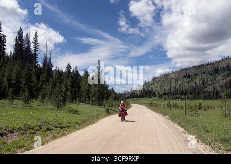 ID01192-00..... IDAHO - Vicky Spring Radfahren durch Bear Valley, Forest Service Road 579, Boise National Forest. Stockfoto