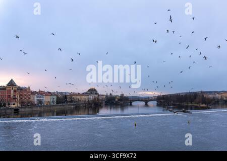 Vogelschar im Flug über die Moldau, hinter der sich die atemberaubende Skyline der Altstadt Prags erhebt, von der historischen Karlsbrücke aus gesehen. Stockfoto
