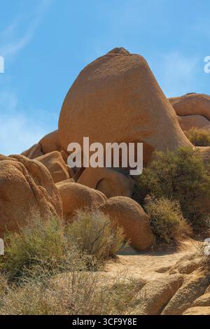 Skull Rock an einem sonnigen Tag. Joshua Tree National Park. Kalifornien. USA Stockfoto