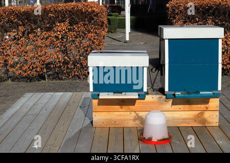 Beehive in einem Stadtgebiet. Bienenleben in der Stadt. Garten mit Bienen in einer Stadt. Lokal angebauter Honig. Stockholm, Schweden. Stockfoto