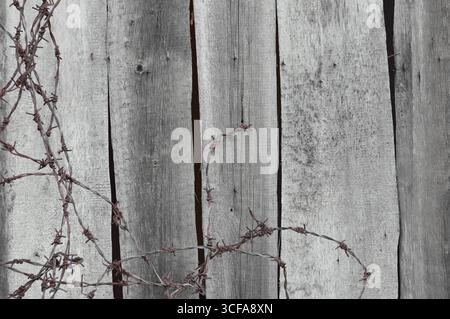 Alte alte verwitterte natürliche grau beschädigte Holzhütte Wand vertikale Boardbretter Textur große detaillierte strukturierte rustikale Grungy horizontale Taupe Stockfoto