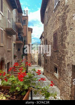 Rote Geranien schmücken die enge Steingasse in Scanno, einem traditionellen italienischen Dorf inmitten der Berge der Abruzzen, das lokale architektonische Cha hervorhebt Stockfoto