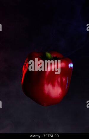 Eine rote Paprika mit grünem Stiel auf schwarzem Hintergrund Stockfoto