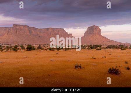 Riesige arabische Wüstenlandschaft in Saudi-Arabien, geprägt von zerklüfteten Sandsteinformationen und karger Vegetation unter dramatischem, bewölktem Himmel. Stockfoto