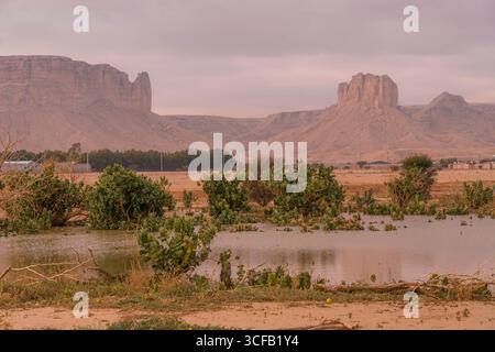 Die Arabische Halbinsel in Saudi-Arabien enthüllt weite Wüstenebenen und zerklüftete Berge mit felsigen Ausbissen und kargen Sträuchern. Stockfoto
