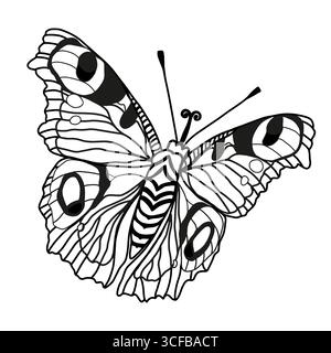 Monarch Schmetterlinge Vektor Hand gezeichnete Insektenillustration isoliert auf weißem Hintergrund Stock Vektor