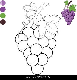 Detaillierte Vektorumrissdarstellung eines Traubenstrauchs, der zum Färben bereit ist, komplett mit Rebe, Blättern und einem Farbreferenzfeld. Stock Vektor