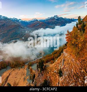 Lärchenholz in Herbstfarben, Engadin Stockfoto
