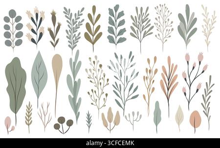 Skandinavisches minimalistisches botanisches Vektorset, einfache geometrische Blätter und Zweige, Eukalyptus, Monstera, Farn, Olivenzweige, handgezeichneter, sauberer Stil, Stock Vektor