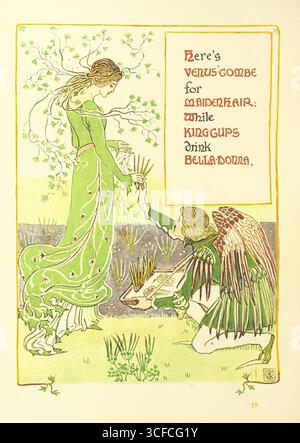 Hier ist Venus'-Combe für Maidenhair: Während King-Cups Bella-Donna trinken, 1899. Pflanzen, die als Feen oder Sprites verkörpert werden, Illustration zu einem Kinderbuch. Seite 42 aus "A Floral Fantasy in an Old English Garden". In Versen &amp; Colour Designs“, geschrieben und illustriert von Walter Crane, [1899]. Stockfoto