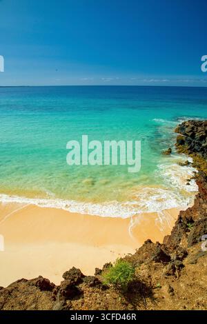 Die Wellen des azurblauen Ozeans schlagen sanft gegen einen goldenen Sandstrand unter einem klaren blauen Himmel. Makena, Makena State Park, Oneloa Beach, Maui, Hawaii Stockfoto