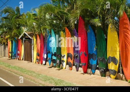 Colorful surfboards lined up against a fence with lush green palm trees under a clear blue sky. Paia, baldwin avenue, Maui, Hawaii, USA Stockfoto