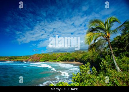 Tropischer Strand mit üppigem Grün, Palmen, blauem Meer und lebendigem Himmel mit Wolken. Hamoa Beach, Hana, Maui, Hawaii, USA Stockfoto