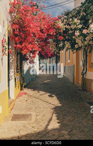 Blick auf die Straße mit traditionellen, farbenfrohen Häusern und Blumen im Dorf Burgau an der Algarve, Portugal. Stockfoto