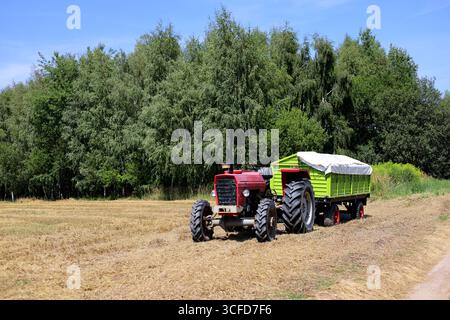 Vorderansicht eines alten, roten Traktors mit einem Anhänger voller Getreide, der auf dem gemähten Weizenfeld geparkt ist Stockfoto