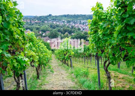 Die Stadt Weinsberg Stockfoto