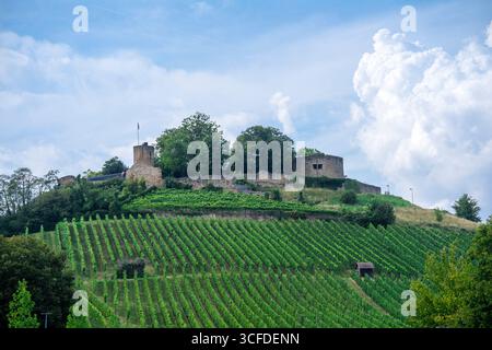 Die Stadt Weinsberg mit Schloss Weibertreu Stockfoto