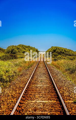 Eisenbahngleise führen an einem klaren Sommertag mit hellem blauen Himmel durch die grüne Landschaft in den Horizont Stockfoto