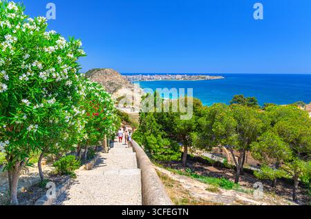 Panoramablick auf die Stadt Alicante, den Hügel Serra Grossa, die Bucht von Alicante am Mittelmeer und das kap Huerta, Panorama der Skyline von Alicante ab Castil Stockfoto
