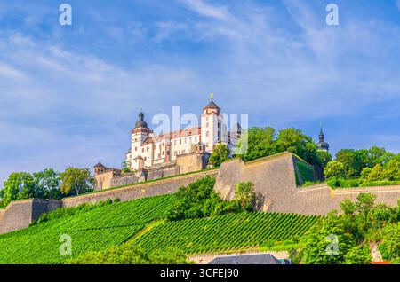 Festung Marienberg und Burgmauer auf dem Marienberg mit Weinbergen in Würzburg Altstadt Würzburg Altstadt Altstadt Altstadt Würzburg Altstadt Mitte, Unteren Fran Stockfoto