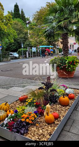 Sehr schöne herbstliche Dekorationskompositionen auf den Straßen der deutschen Stadt am Bodensee. Oktober 2024. Uberlingen, Deutschland Stockfoto