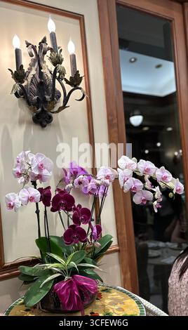 Elegantes Orchideengestell auf Mosaiktisch im Indoor Café Stockfoto