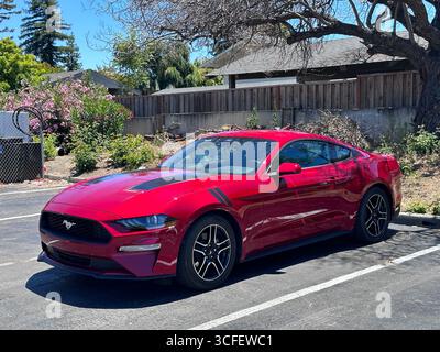 Ein leuchtend roter Ford Mustang Sportwagen parkte an einem sonnigen Tag auf einem Parkplatz. Das moderne Coupé verfügt über ein schlankes Design, schwarze Leichtmetallfelgen und einen Stockfoto