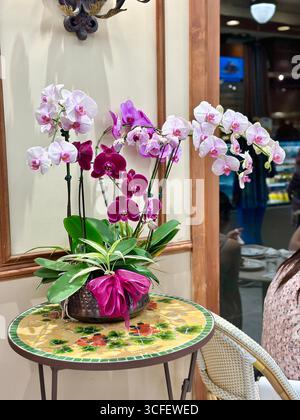 Elegantes Orchideengestell auf Mosaiktisch im Indoor Café Stockfoto