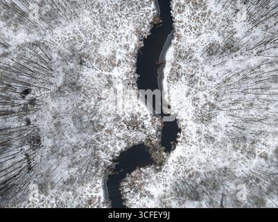 Luftaufnahme des fließenden Flusses und Waldes in Polen. Luftaufnahme der Wildtiere in Polen, Europa. Stockfoto