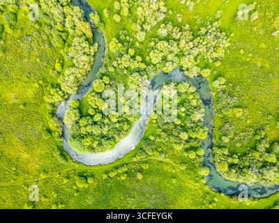 Aus der Vogelperspektive auf einen sich windenden Fluss, der durch ein lebhaftes grünes Tal fließt, umgeben von Bäumen und Wiesen. Diese malerische Landschaft zeigt die ruhige Schönheit der Natur in den Alpen. Stockfoto