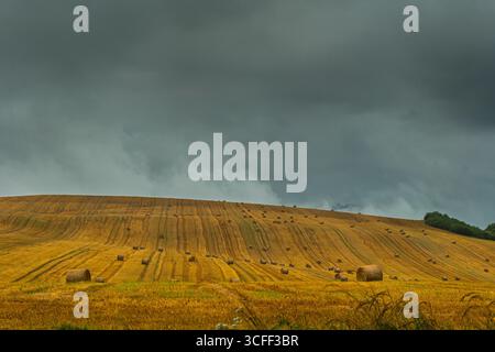 Gemähtes Feld mit vielen Heuballen unter dramatischem Himmel vor Regen Stockfoto