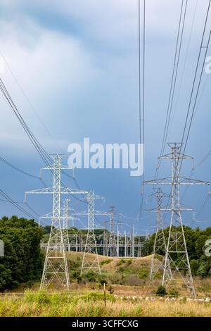 Bridgman, Michigan - Hochspannungsleitungen liefern Strom aus dem Kernkraftwerk Donald C. Cook am Lake Michigan. Stockfoto