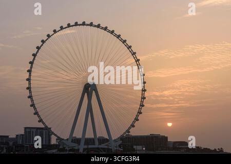Sonnenuntergang über Ain Dubai, dem weltweit größten 250 m hohen Aussichtsrad auf Bluewaters Island, Dubai, VAE Stockfoto