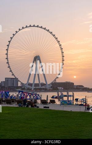 Sonnenuntergang über Ain Dubai, dem weltweit größten 250 m hohen Aussichtsrad auf Bluewaters Island, Dubai, VAE Stockfoto