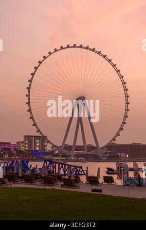 Sonnenuntergang über Ain Dubai, dem weltweit größten 250 m hohen Aussichtsrad auf Bluewaters Island, Dubai, VAE Stockfoto