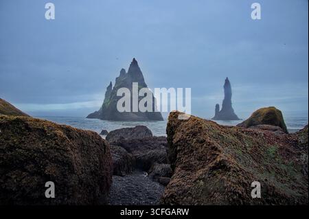 Reynisfjara - schwarzer Sandstrand, Island Stockfoto
