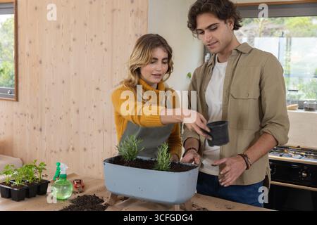 Paare, die Kräuterkeimlinge in einen grauen Pflanztopf in der Küche legen, tragen Schürze mit Kelle und Sprühflasche Stockfoto