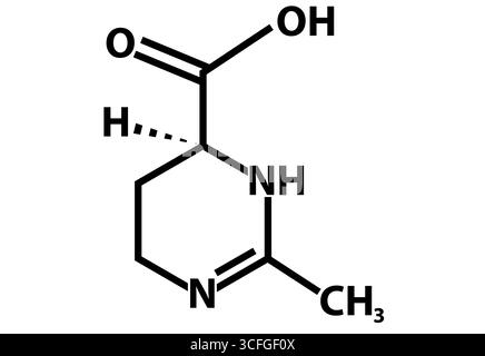 Ectoine-Picolinat-Symbol für molekularchemische Formel. Infografik-Schild „Ectoine“. Chemische Struktur des Symbols für Ectoine-Pikolinat (C6H10N2O2). Stockfoto