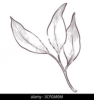 Edelsteine und Blumen Vektor Illustrationen Set Stock Vektor