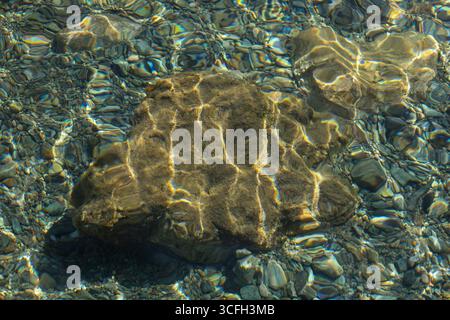 Nahaufnahme eines Unterwasserfelsens, beleuchtet durch tanzendes Sonnenlicht durch transparentes Meerwasser. Stockfoto