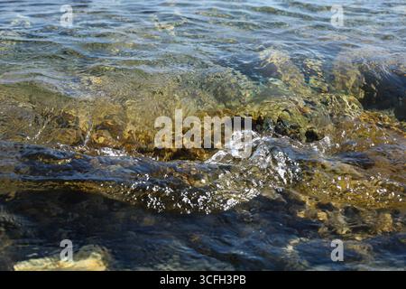 Flache Wellen, die sanft über einen felsigen Meeresboden Rollen, mit hellem Sonnenlicht, das die Texturen und Farben unter der Oberfläche freigibt. Dynamisch und natürlich Stockfoto