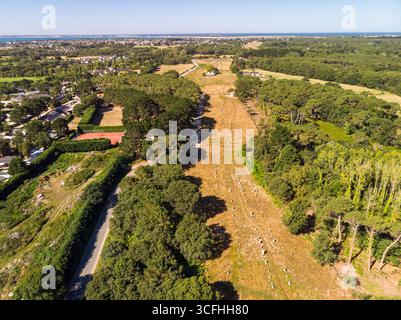 Luftaufnahme der langen Reihen der neolithischen Steine in Carnac, Frankreich mit dem Meer in der Ferne Stockfoto