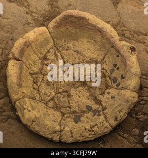Opferschale, Megalithtempel von Hal Tarxien, 3250-2500 v. Chr., UNESCO-Weltkulturerbe, Tarxien, Malta Stockfoto