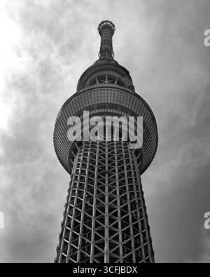 Schwarzweiß-Foto mit Blick auf den Skytree Aussichtsturm, Tokio, 2025 Stockfoto