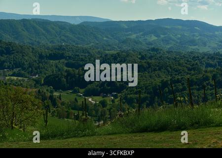 Malerischer Blick auf einen slowenischen Hügel, der mit Weinbergen bedeckt ist, die mit lebhaftem grünem Gras entlang der Südsteirischen Weinstraße bedeckt sind. Ideal für Reisen, Natur und Stockfoto