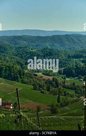 Panoramablick auf die slowenischen Hügel mit Weinbergen, Wäldern und einem fernen Anwesen, das einem Schloss entlang der Südsteirischen Weinstraße ähnelt. Perfekt für Reisen Stockfoto