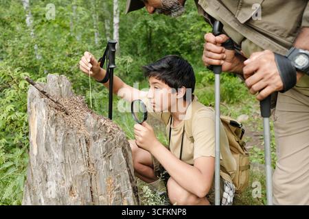 Mann und Junge mittleren Alters erkunden gemeinsam die Natur, Junge mit Lupe, um Baumstumpf zu untersuchen, während Mann beobachtet, beide halten Trekkingstöcke im Wald Stockfoto