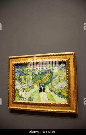 Stairway at Auvers, Ölgemälde auf Leinwand, 1890, von Vincent Van Gogh. Ausgestellt auf einer dunkelgrauen Wand im St. Louis Art Museum in Missouri, USA. Stockfoto