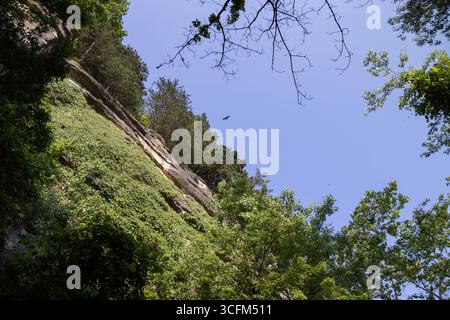 Im Frühsommer bietet der Katy Trail State Park in Rocheport, Missouri, einen spektakulären Blick von unten auf einen hohen, felsigen Kliff. Der Vogel fliegt am Himmel. Stockfoto